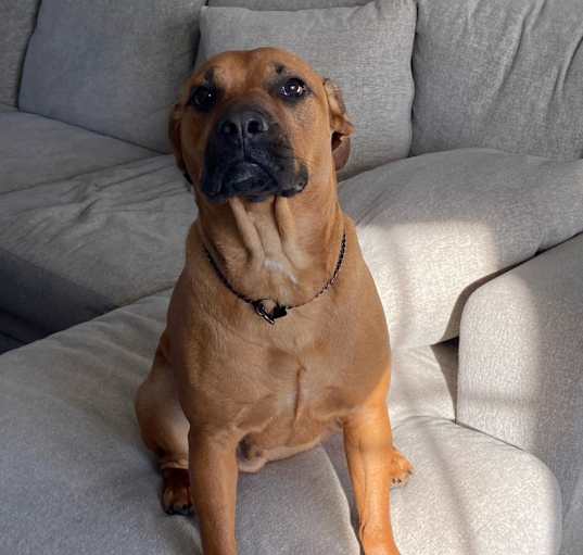 Photo of Walter