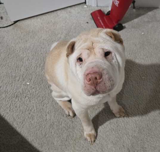 Photo of Storm
