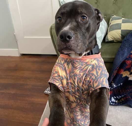 Photo of Sam