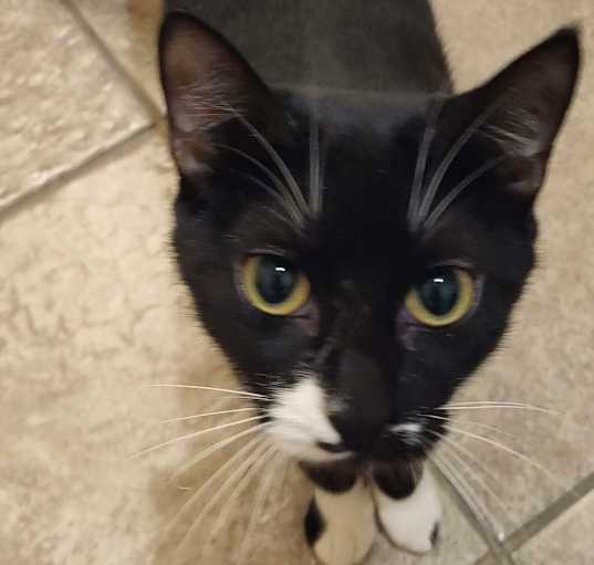 Photo of Socks