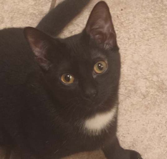 Photo of Missy