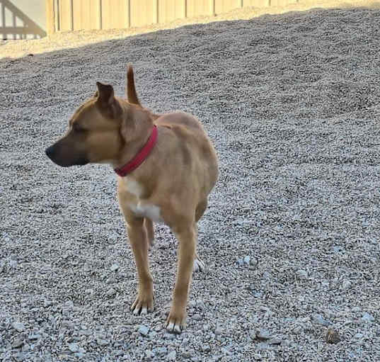 Photo of Cooper