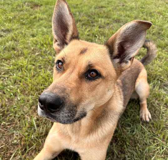 Photo of Athena