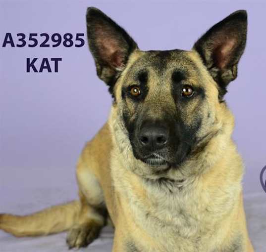 Photo of KAT