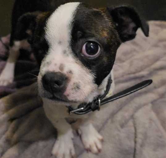 Photo of Waylon