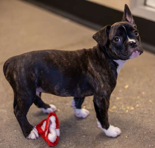 Photo of Tank