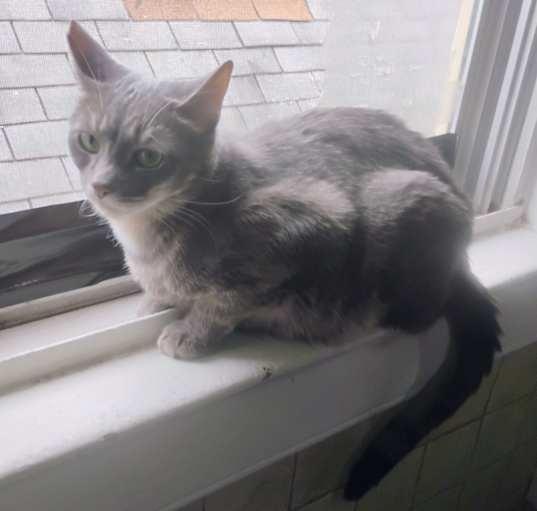 Photo of Miche