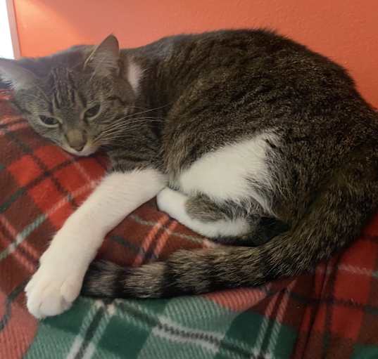 Photo of Zoe