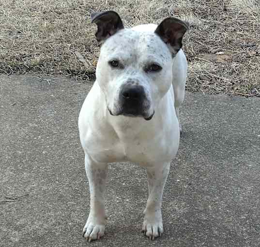 Photo of Max