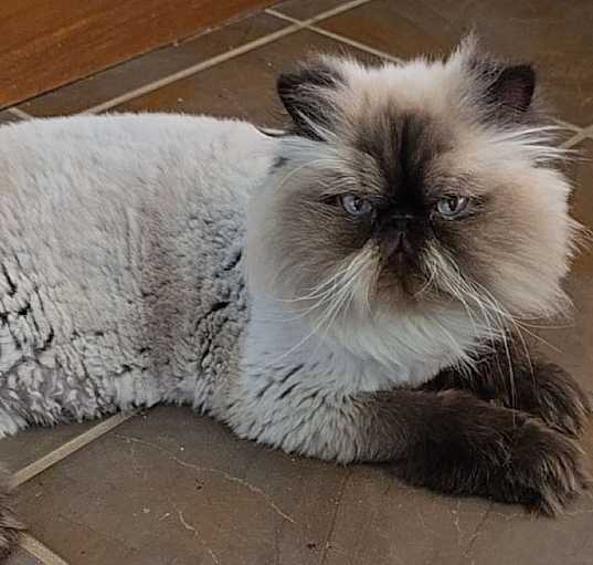 Photo of Jerry