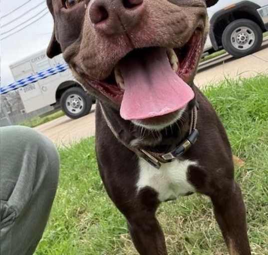 Photo of Rosco
