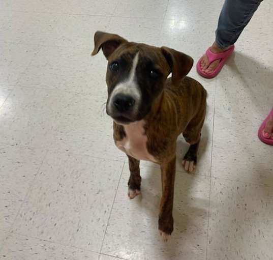 Photo of Daisy Mae