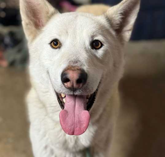 Photo of Griffin