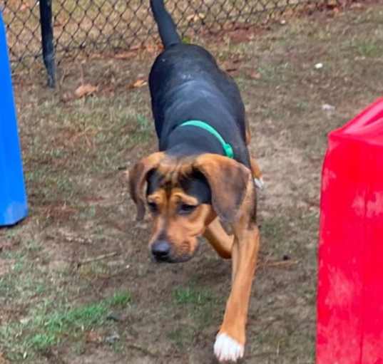 Photo of Bentley