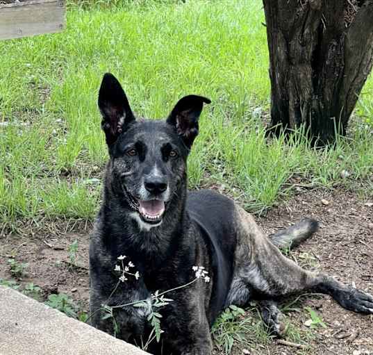 Photo of Ike