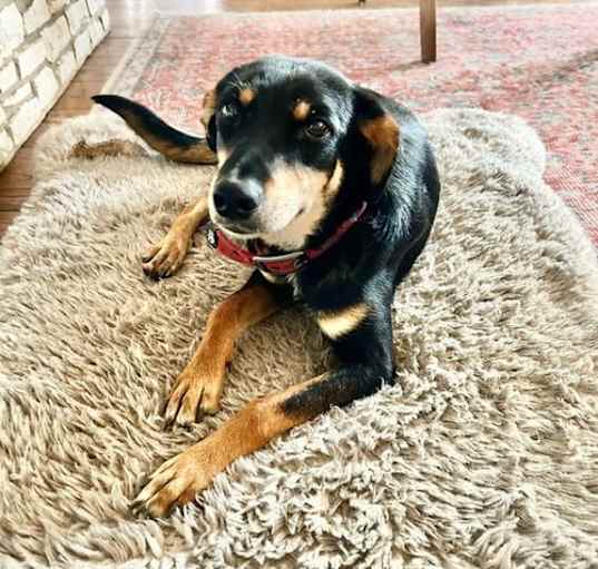 Photo of Changa