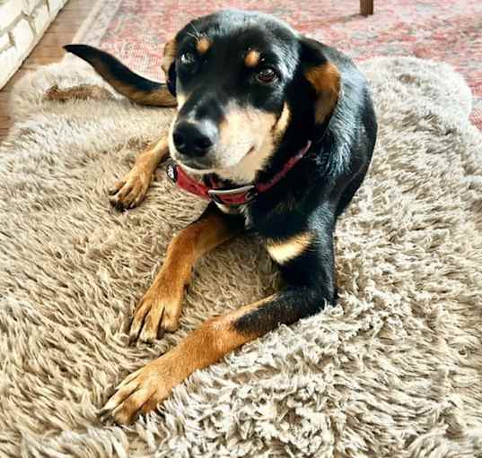 Photo of Changa