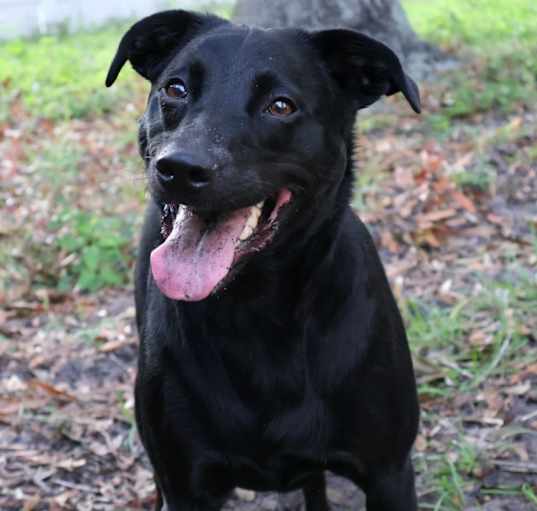 Photo of Turbo