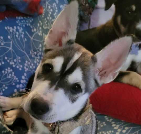 Photo of Storm