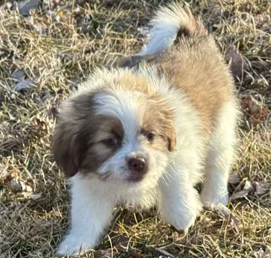 Photo of Movado