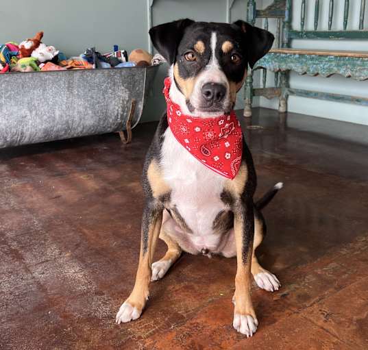 Photo of Luther