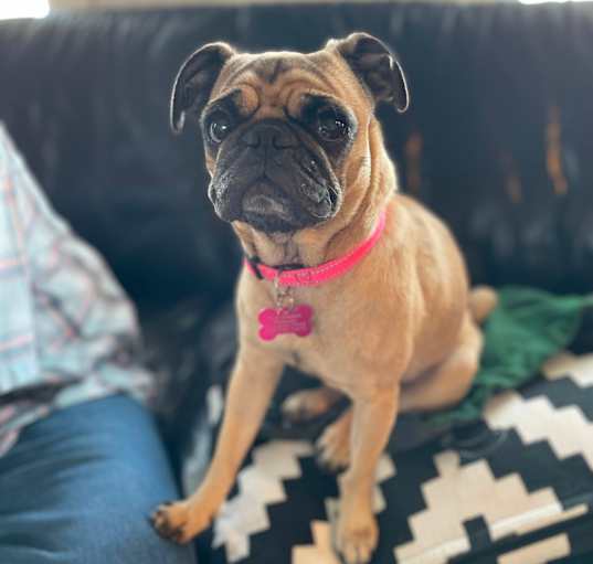 Photo of Ruthie
