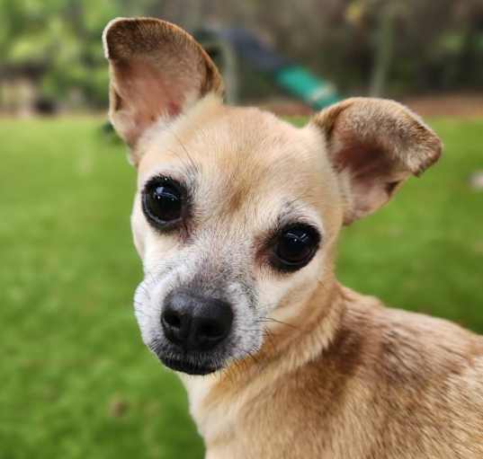Photo of Kima