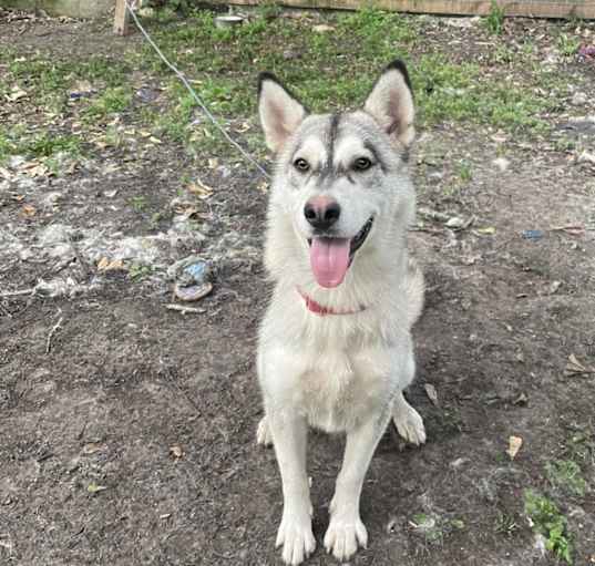 Photo of Luna