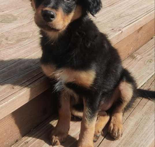 Photo of Itty-Bitty