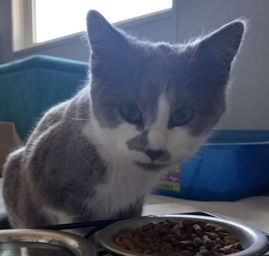 Photo of Floof