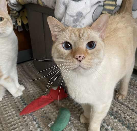 Photo of Gary