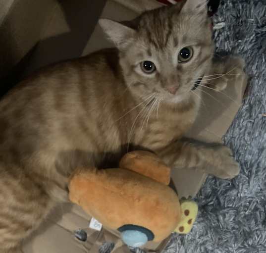 Photo of Jesse