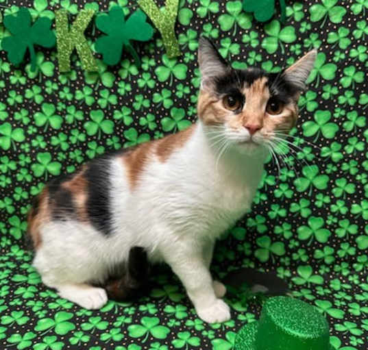 Photo of Freya