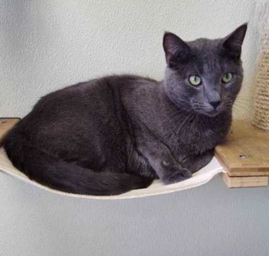 Photo of Tad