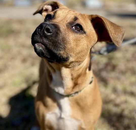 Photo of Gertie