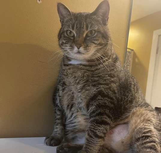 Photo of Maggie