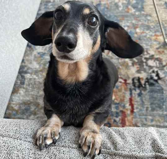 Photo of Stinky