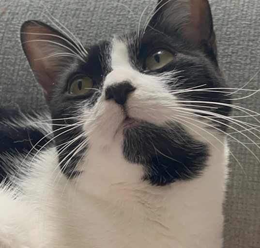 Photo of Salsa