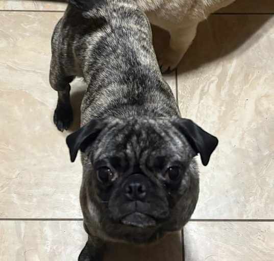 Photo of 2025- 3003 Maya