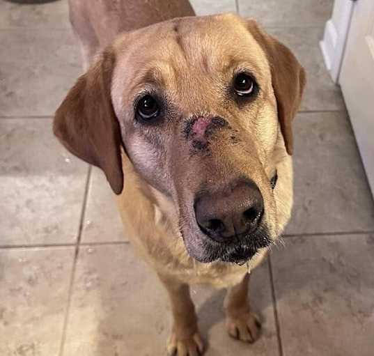 Photo of Hazel
