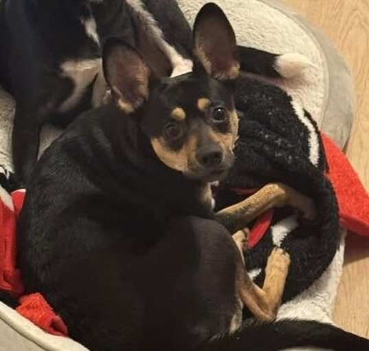 Photo of Maggie