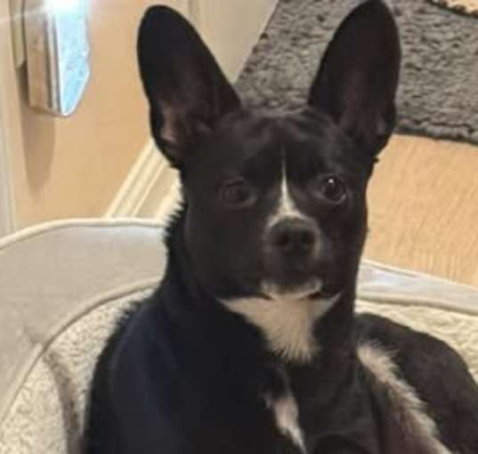 Photo of Minnie
