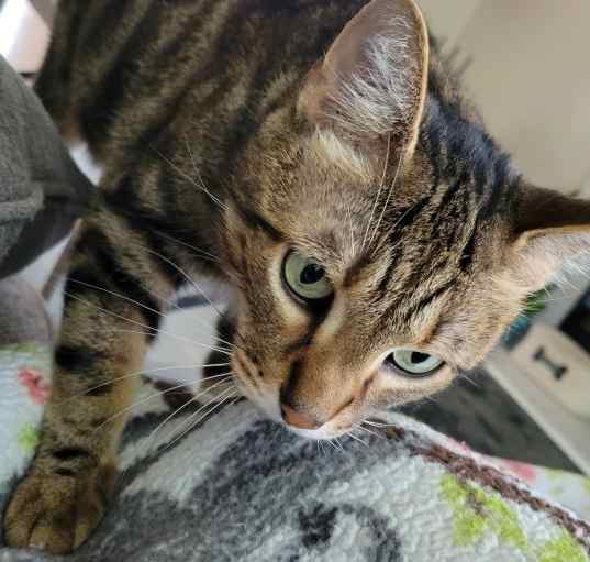 Photo of Molly