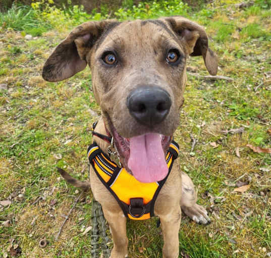 Photo of Bruce