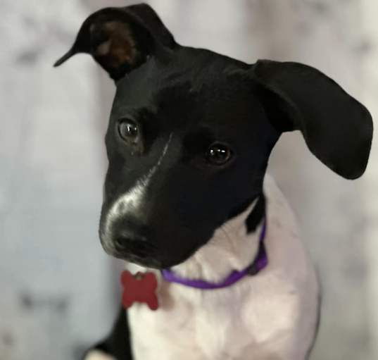 Photo of Lucy