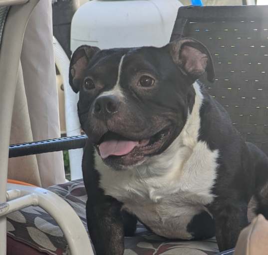 Photo of Tank