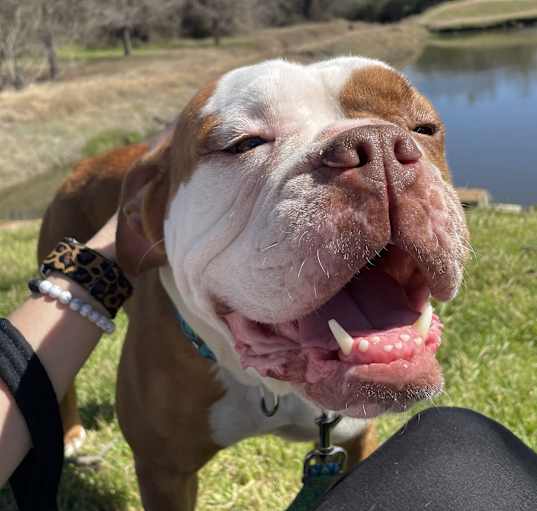 Photo of Mia