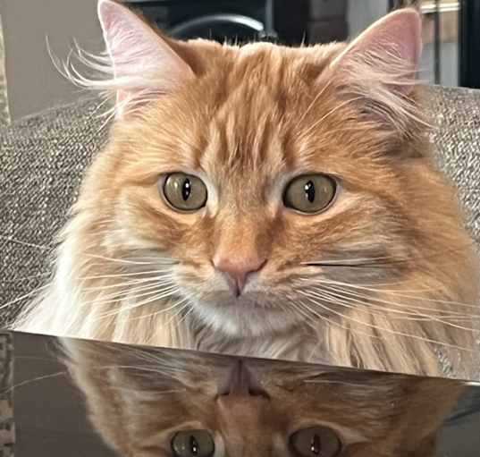 Photo of Charlie
