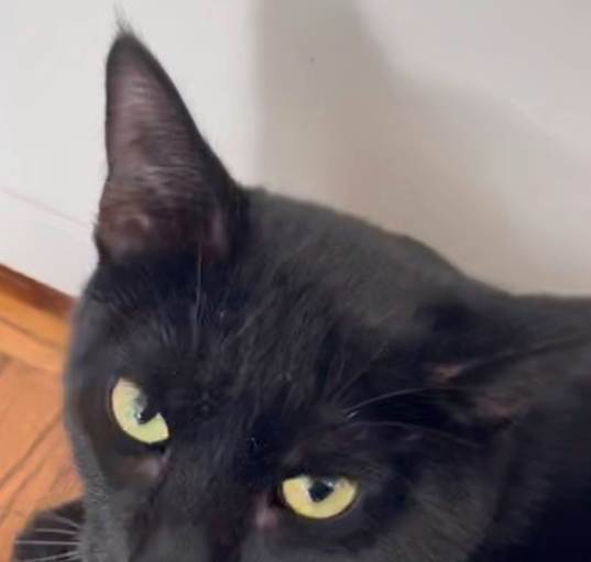 Photo of Rudy
