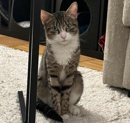 Photo of Macy